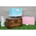 Egg Crate & Hutch Bundle